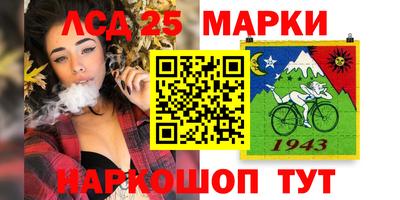 шишки Боровичи