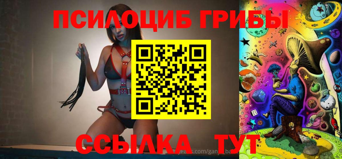 Псилоцибиновые грибы Psilocybine cubensis Владикавказ