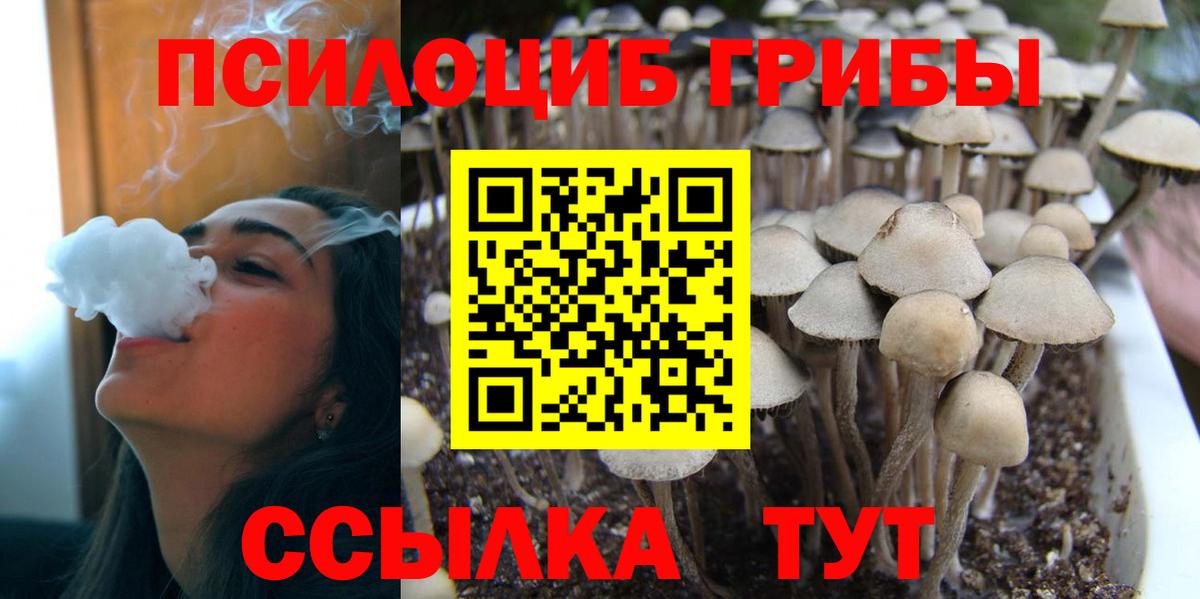 Псилоцибиновые грибы Psilocybe  наркотики  Владикавказ  Вход с VPN 